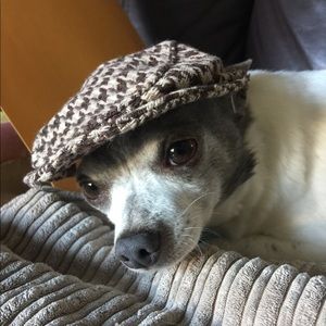 Meet your Posher, Thea